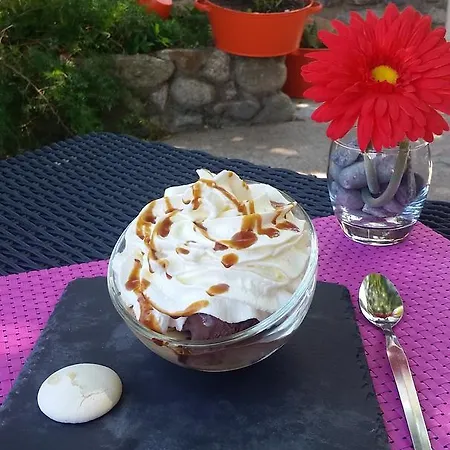 Logis Hotel-restaurant Les Glycines 3*