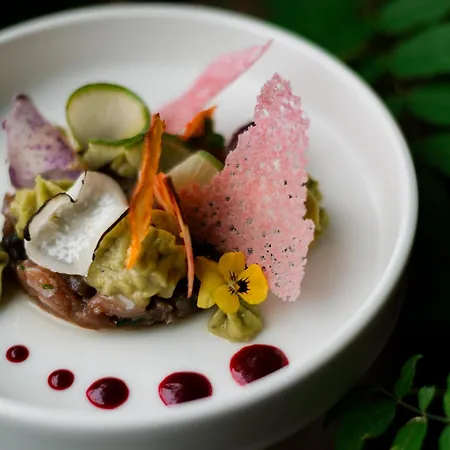 酒店 Logis Hotel-restaurant Les Glycines 泰克河畔阿尔莱