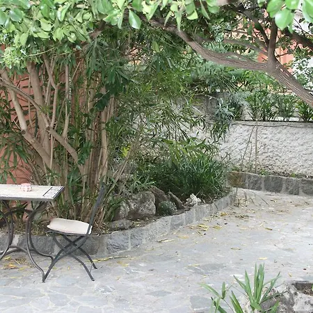 Logis Hotel-restaurant Les Glycines ホテル アルル